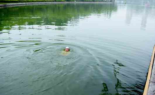 危险,年近七旬老人月湖里游泳 园林管理处工作人员表示月湖禁止游泳,建议去正规泳池